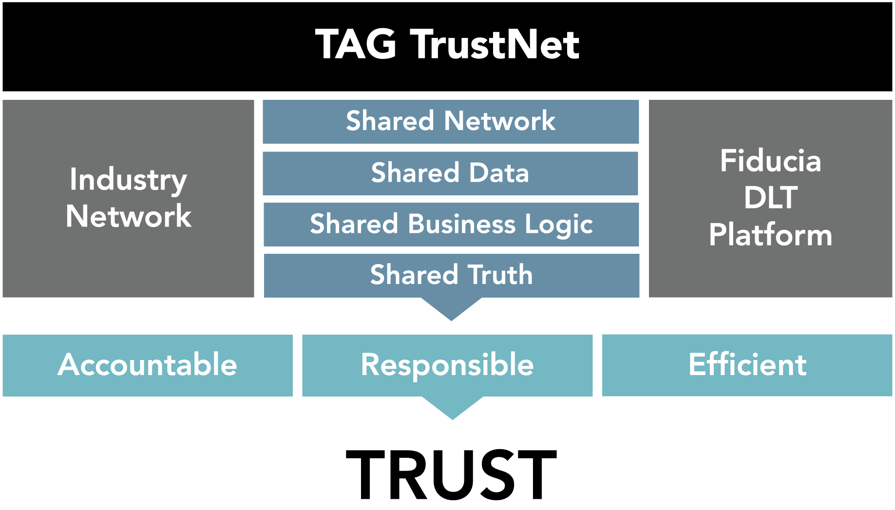 TAGTrustNet_Charter visual 1